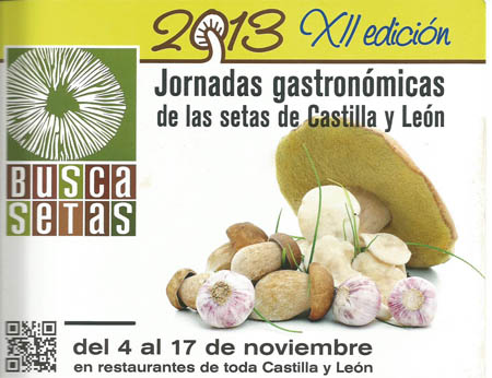 buscasetas2013