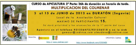cursodeapicultura