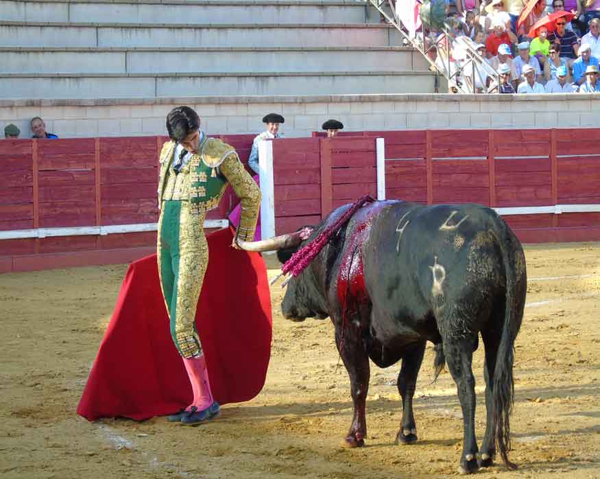 VictorBarrioCantalejo2014