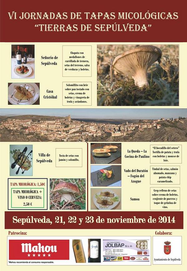 tapasmicologicas14