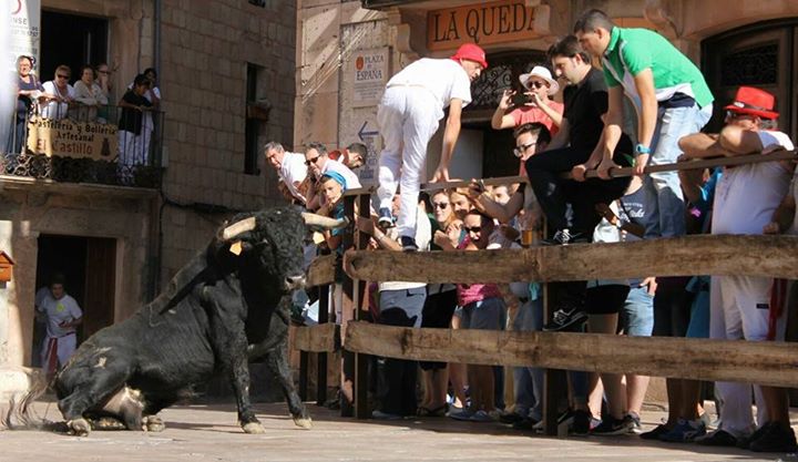 2concursoencierros15
