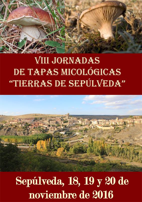tapasmicologicas16